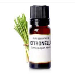 Lemongrass Essential Oil